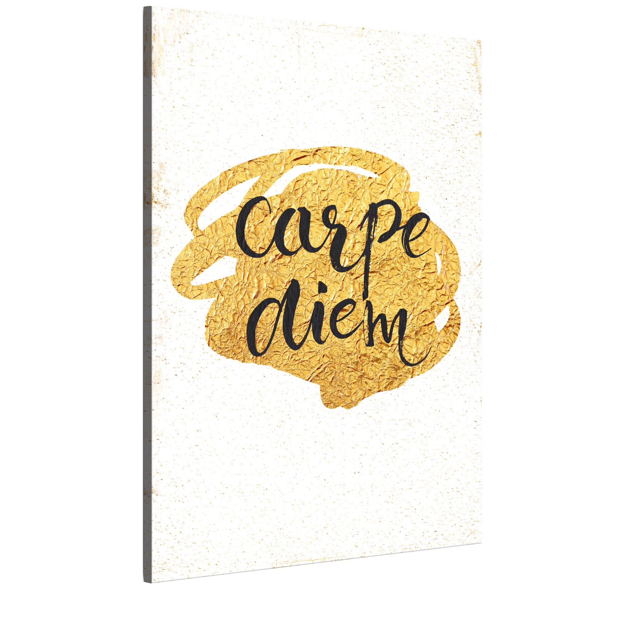 Tablou canvas - Casa mea Carpe Diem - 40 x 60 cm