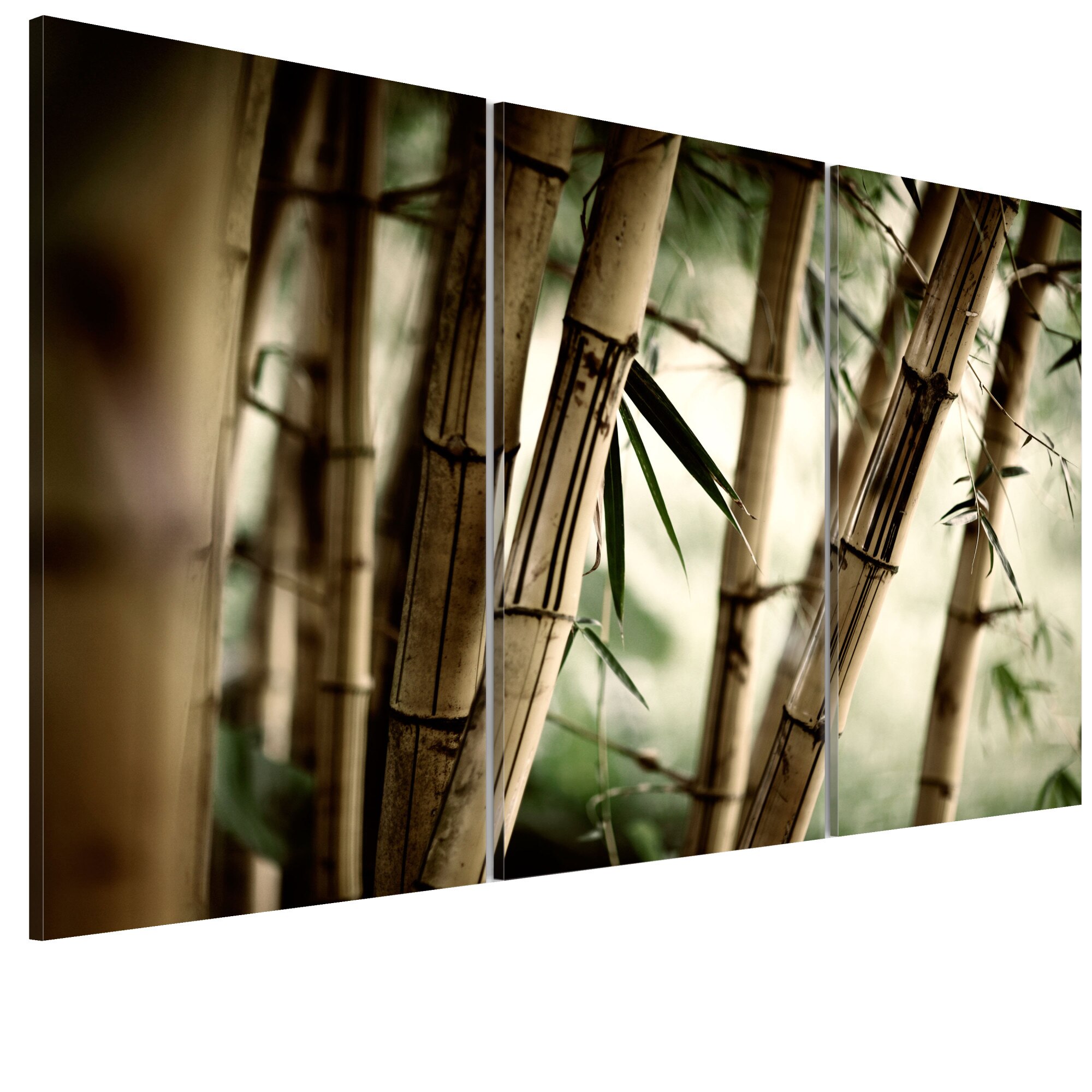 Tablou canvas 3 piese - Intr-o padure tropicala - 90 x 60 cm
