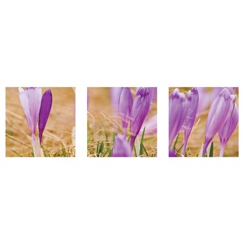 Branduse - Tablou canvas 3 piese - 120x40cm Branduse - Tablou canvas 3 piese - 120x40cm