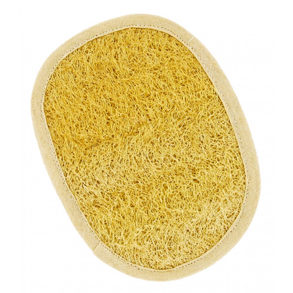Luffa organica