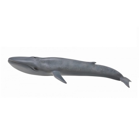 Figurina Balena Albastra Collecta Emag Ro