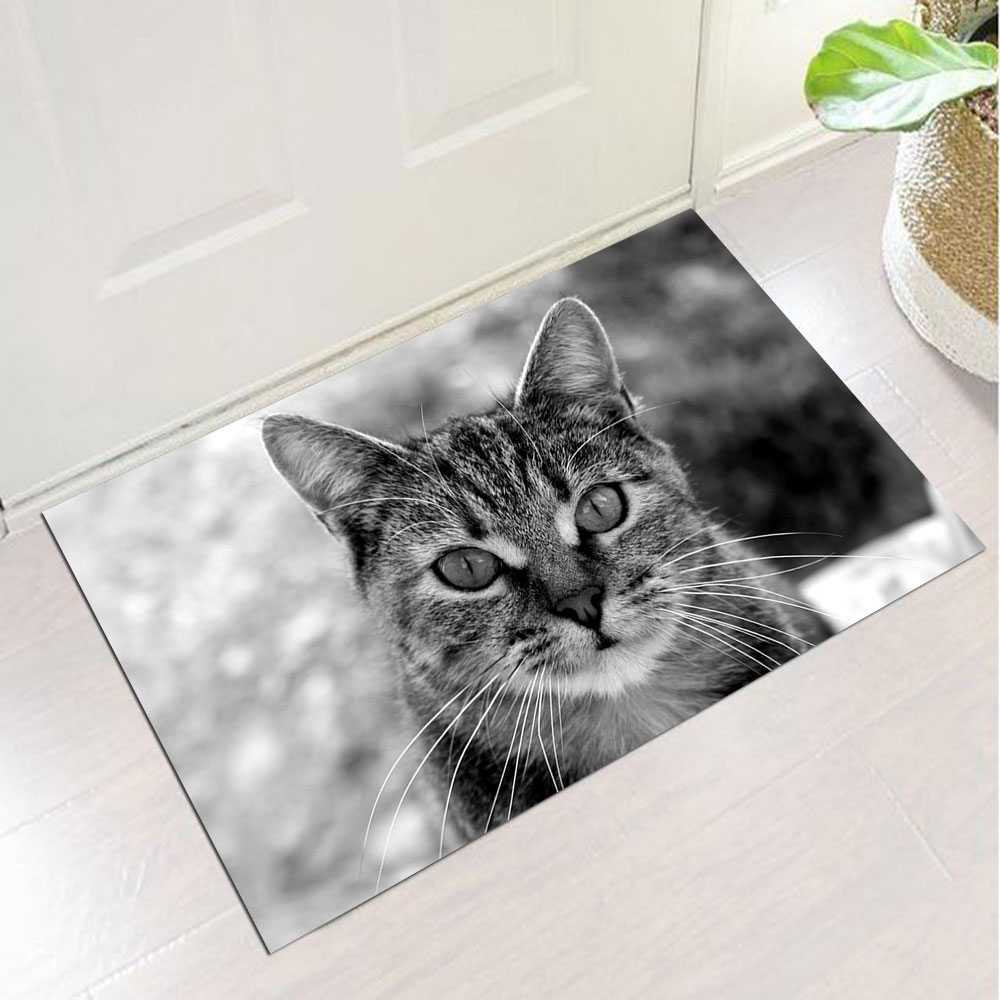 Covor Intrare Impermeabil Pres PVC Art Factory Pisica la poza, 50 x 70 cm