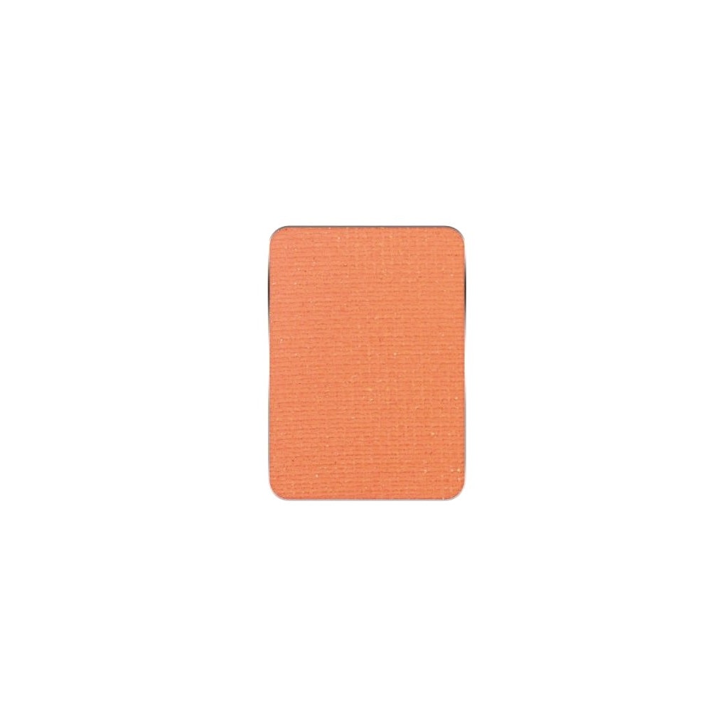 Pms Pastila Rezerva Paleta Fard De Pleoape Nr.120 Pierre Rene