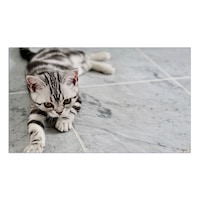 Covor Baie Impermeabil PVC Pui de pisica alb-negru pe gresie Art Factory, 50 x 70 cm