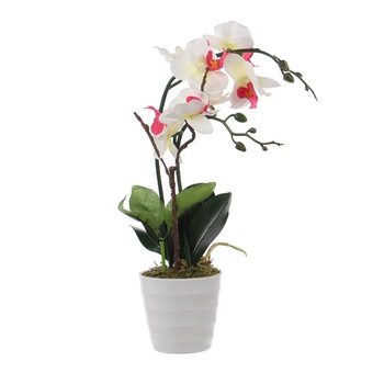 Orhidee artificiala iMKⓇ, H 46 cm, Rezistenta la umiditate, Alb, Aspect natural, AN Orhidee artificiala iMKⓇ, H 46 cm, Rezistenta la umiditate, Alb, Aspect natural, AN