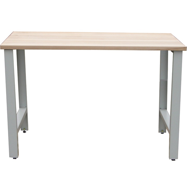 Banc de lucru L1200, 1200x600x850 mm (LxlxH) ECO+