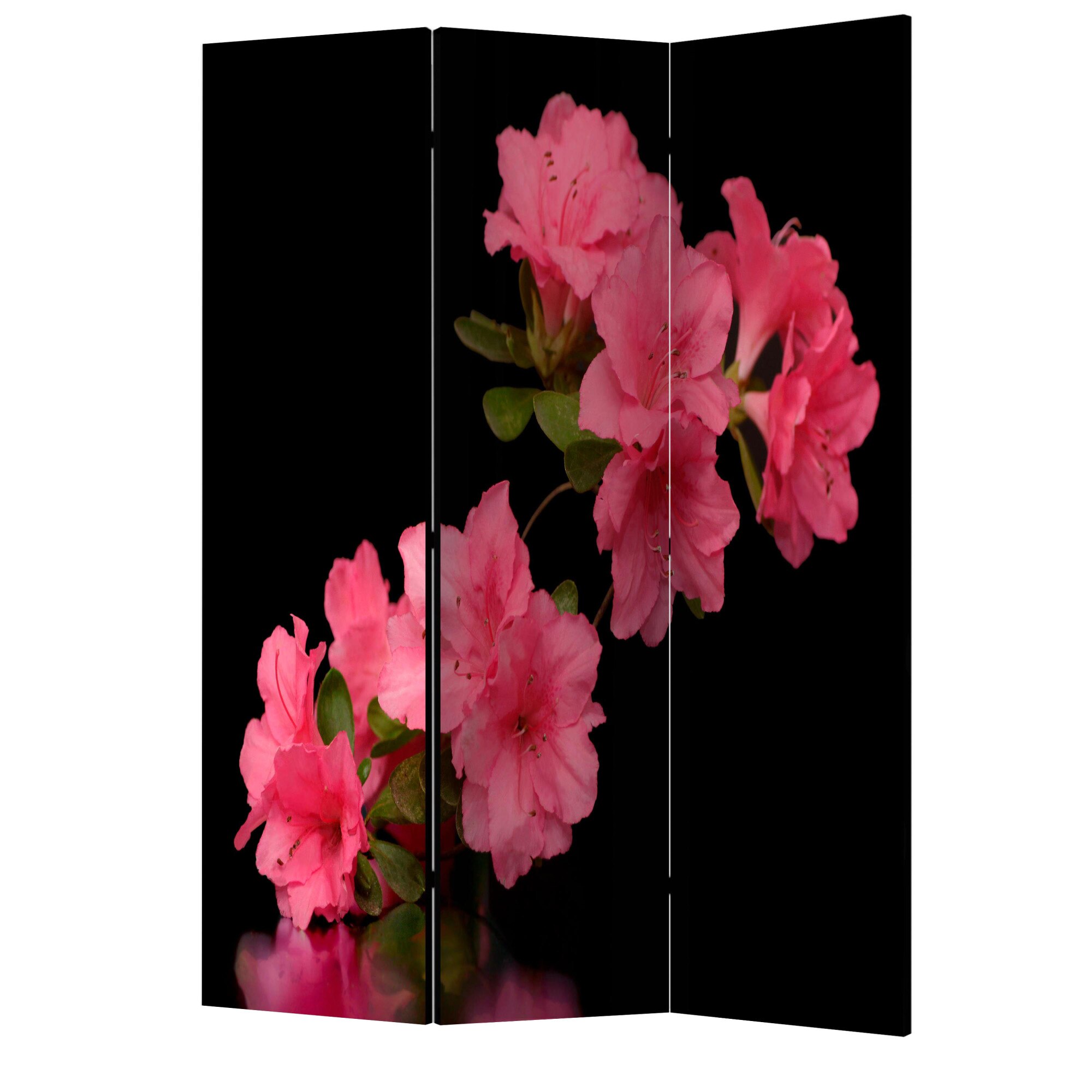 Paravan din 3 parti - Azalee neagra - 135 x 172 cm