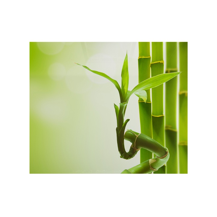 Sticla bucatarie securizata SGG, printata 100x75cm, protectie aragaz, Sami Art, Model 14