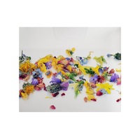 sticla bucatarie securizata sgg printata 60x60cm protectie aragaz sami art model 7 imagen 51_0_
0