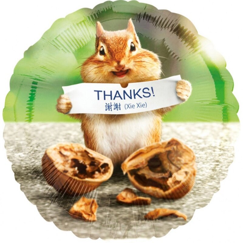 Balon folie inscriptionat Thanks - 45 cm, Radar 36599