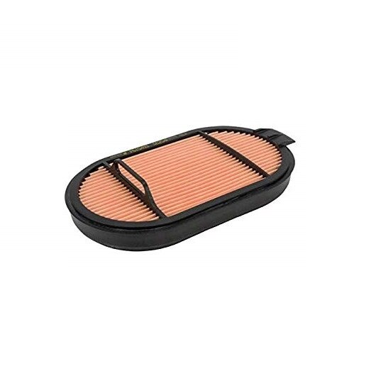 Filtru aer P615493 Donaldson