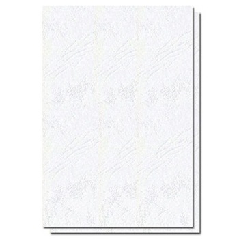 Coperti Indosariere EVOffice din Carton Tip Imitatie Piele A4, Culoare Alb, 250 g/m², 100 Coli/Top - Accesorii Indosariat Coperti Indosariere EVOffice din Carton Tip Imitatie Piele A4, Culoare Alb, 250 g/m², 100 Coli/Top - Accesorii Indosariat