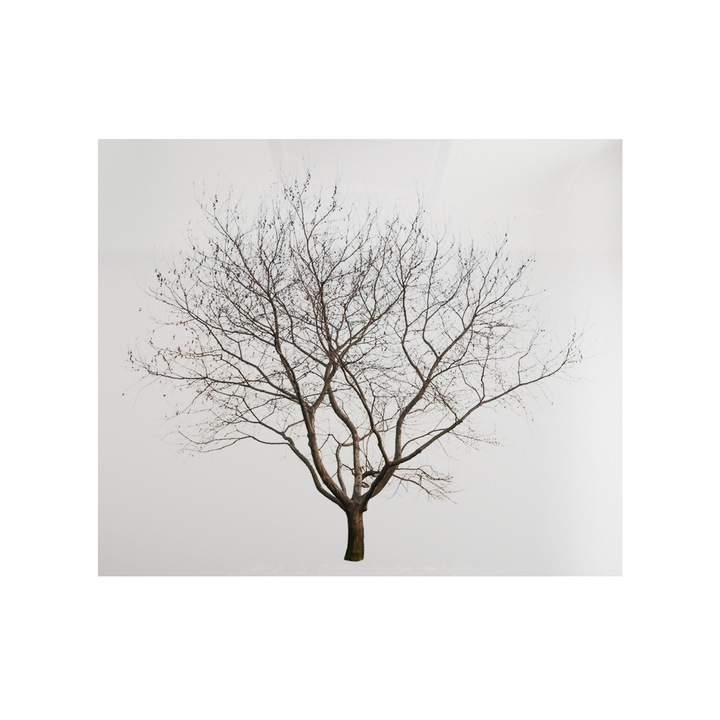 Sticla bucatarie securizata SGG, printata 80x75cm, protectie aragaz, Sami Art, Model 31