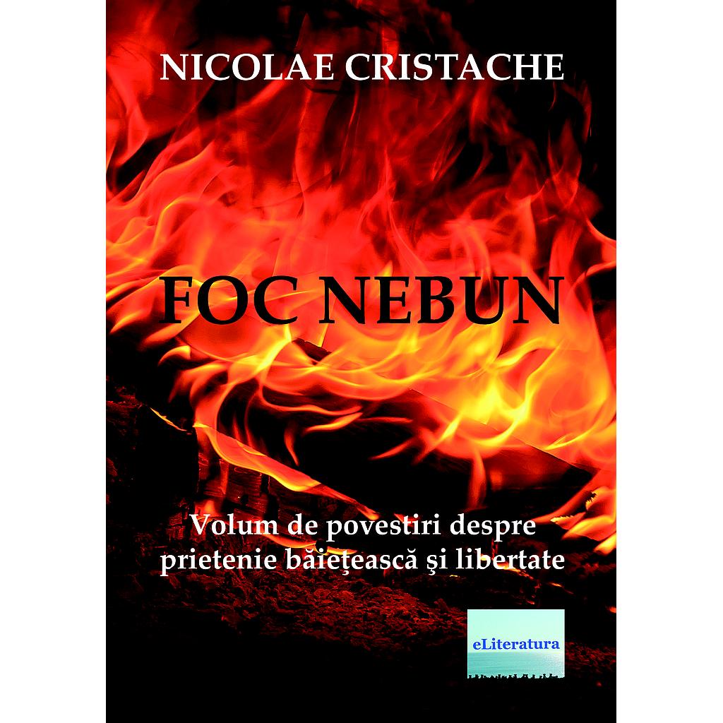 Foc nebun. Volum de povestiri despre prietenie baieteasca si libertate, de Nicolae Cristache