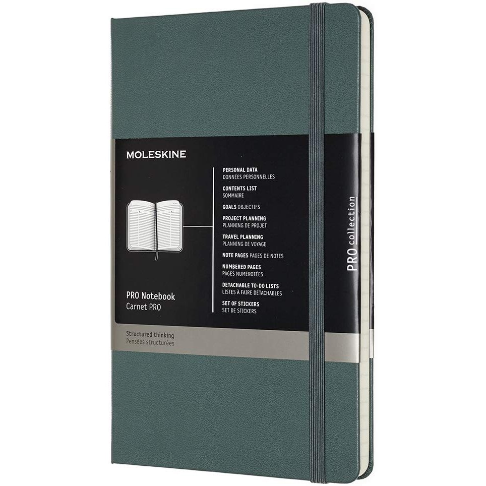 Agenda Moleskine classic, A5, coperta de piele, dictando, Verde Gri