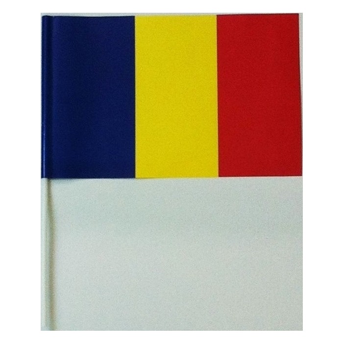 Stegulet Romania 16x24cm cu betisor