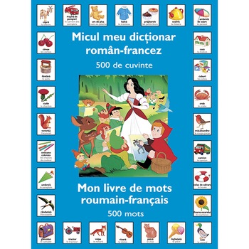 Micul meu dictionar roman-francez - Van Gool Micul meu dictionar roman-francez - Van Gool