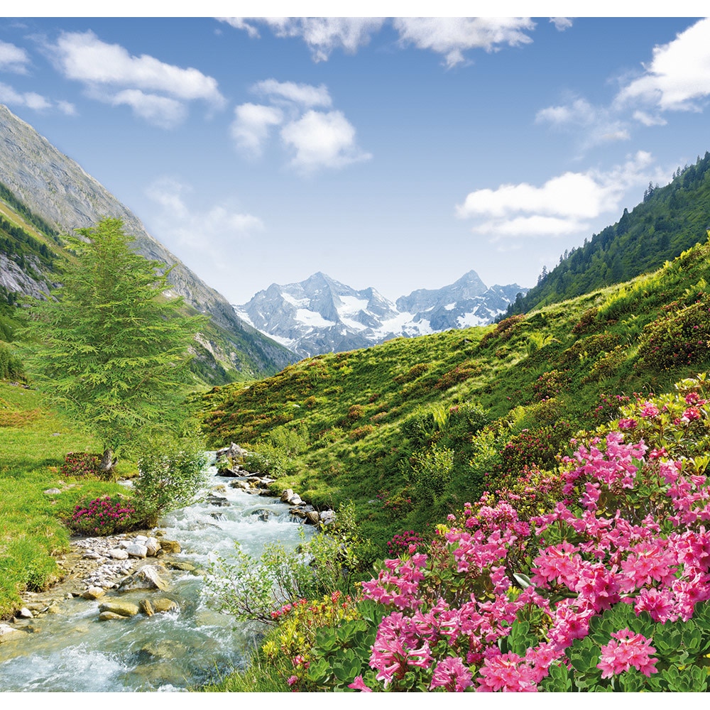 Fototapet DEGRETS 84594 Elegia de munte 204x194cm