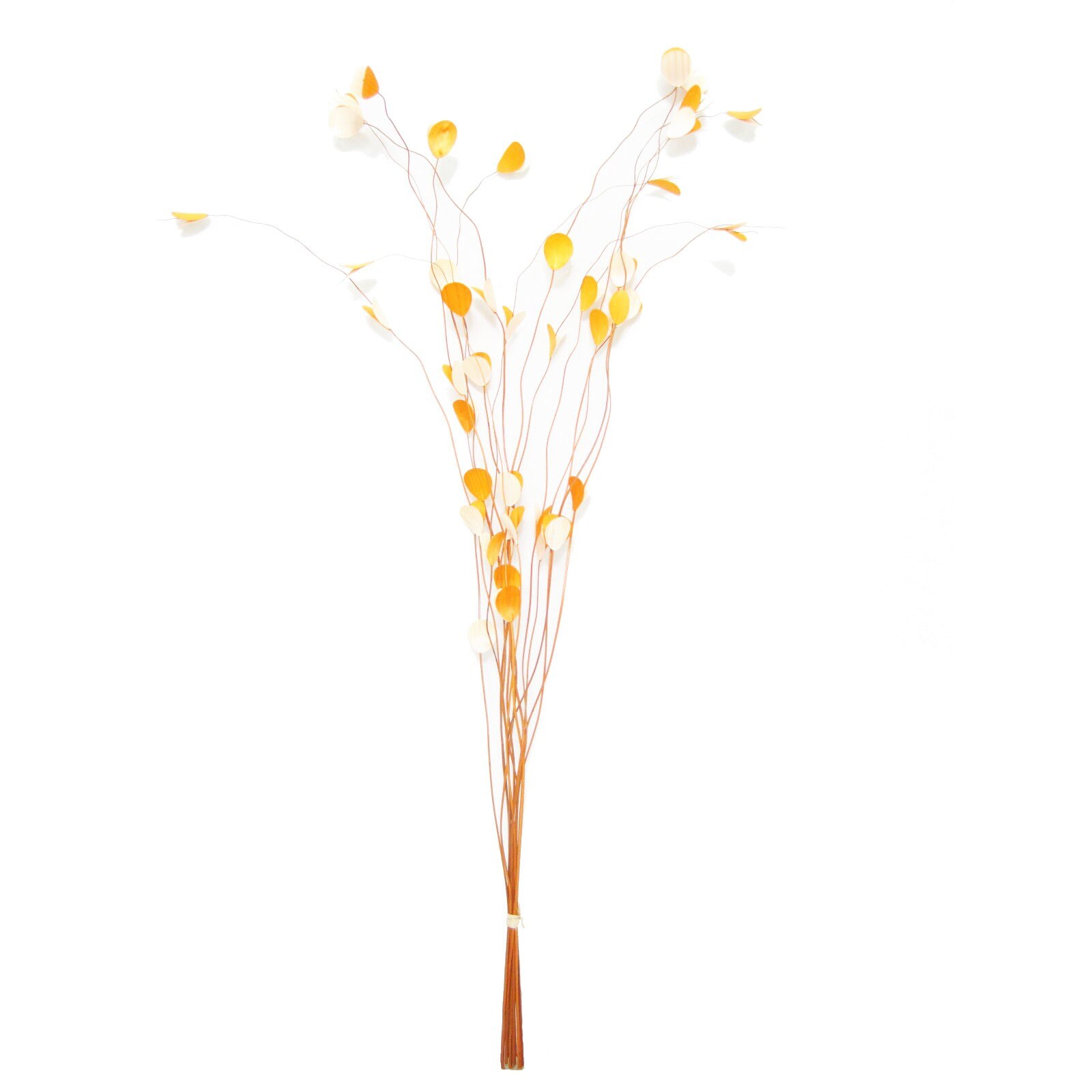 Plante uscate iMKⓇ, Portocaliu, Imbinare cromatica armonioasa, 95 cm, Pentru un spatiu primitor si atractiv, AN