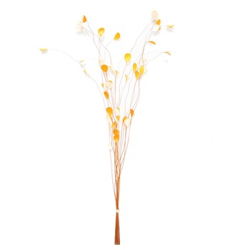 Plante uscate iMKⓇ, Portocaliu, Imbinare cromatica armonioasa, 95 cm, Pentru un spatiu primitor si atractiv, AN Plante uscate iMKⓇ, Portocaliu, Imbinare cromatica armonioasa, 95 cm, Pentru un spatiu primitor si atractiv, AN