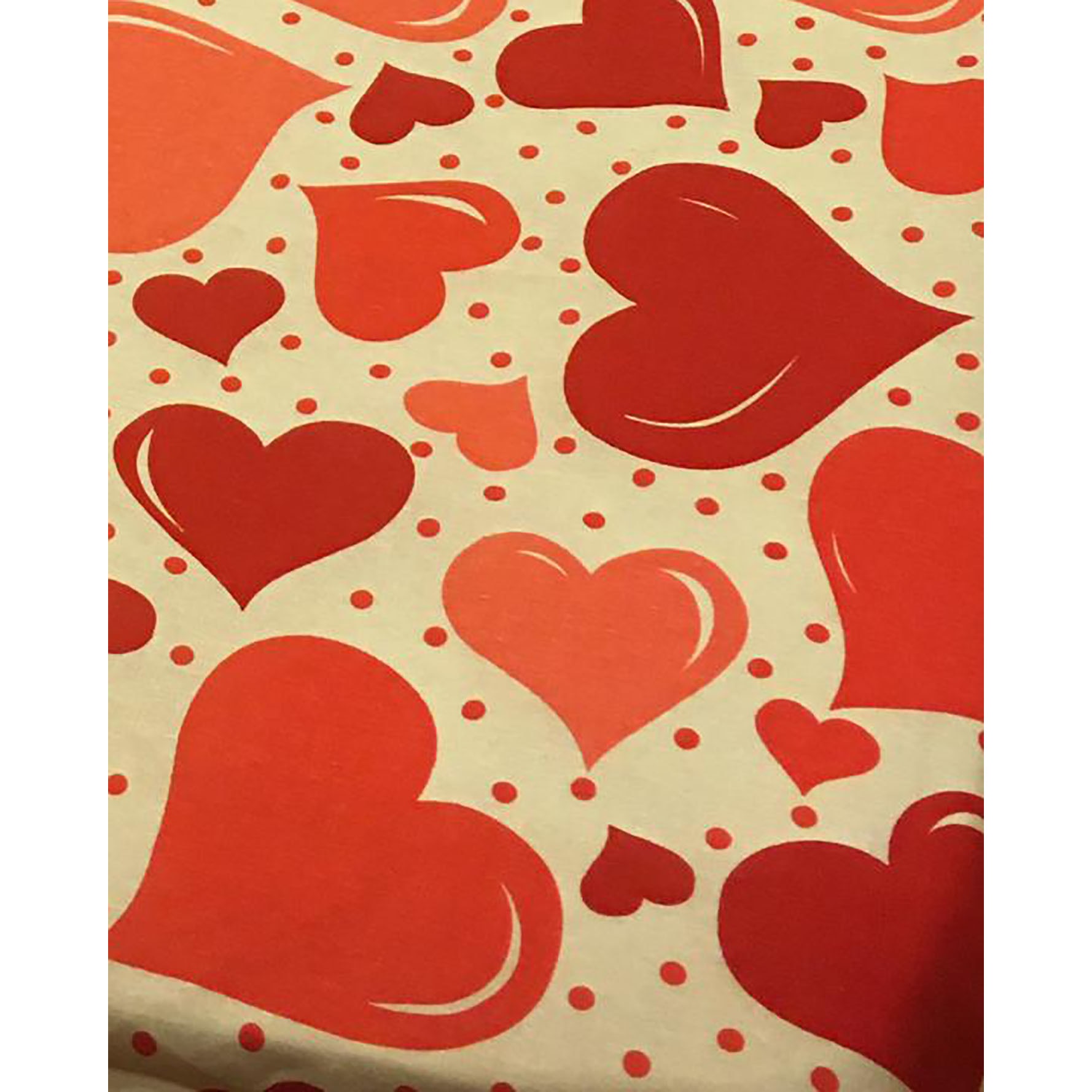 Set doua huse perna, bumbac 100%, 70X70CM-by Liz Line - SP7126