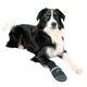 Trixie Walker Care Comfort kutyacipő XXL Tappancs 10cm Cipő 24,5cm 19475