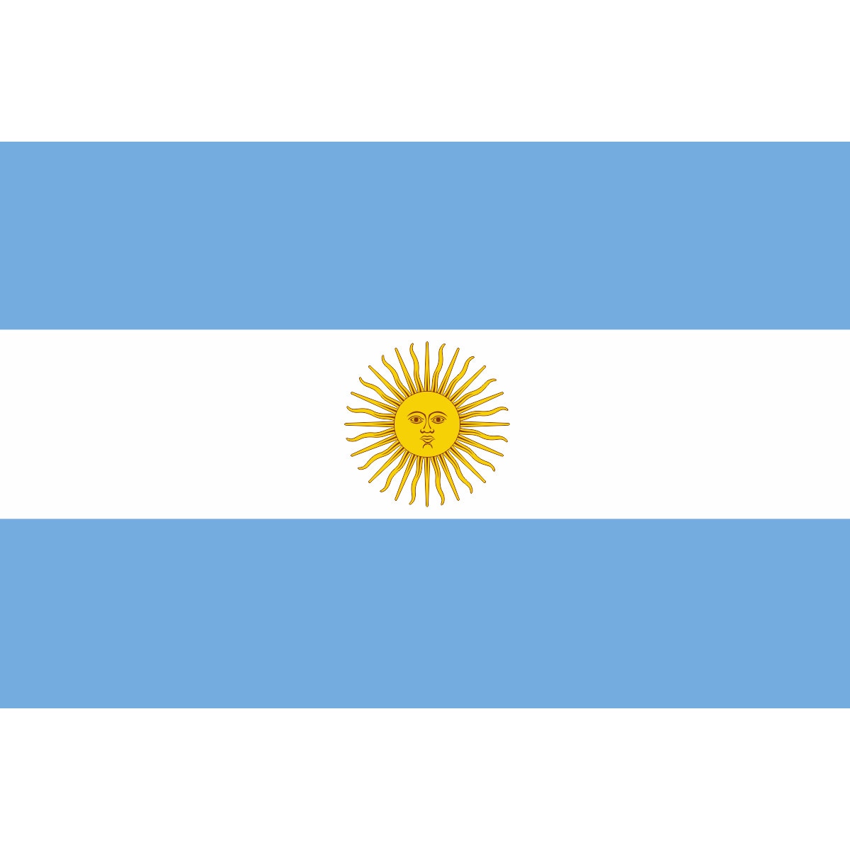 Steag ARGENTINA, IMPRIMAT, Metropolis 135x90 cm