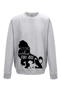 Pulover Barbat din bumbac 80%, poliester 20%, MAYKA, model Remember who you are, gri, Gri Pulover Barbat din bumbac 80%, poliester 20%, MAYKA, model Remember who you are, gri, Gri