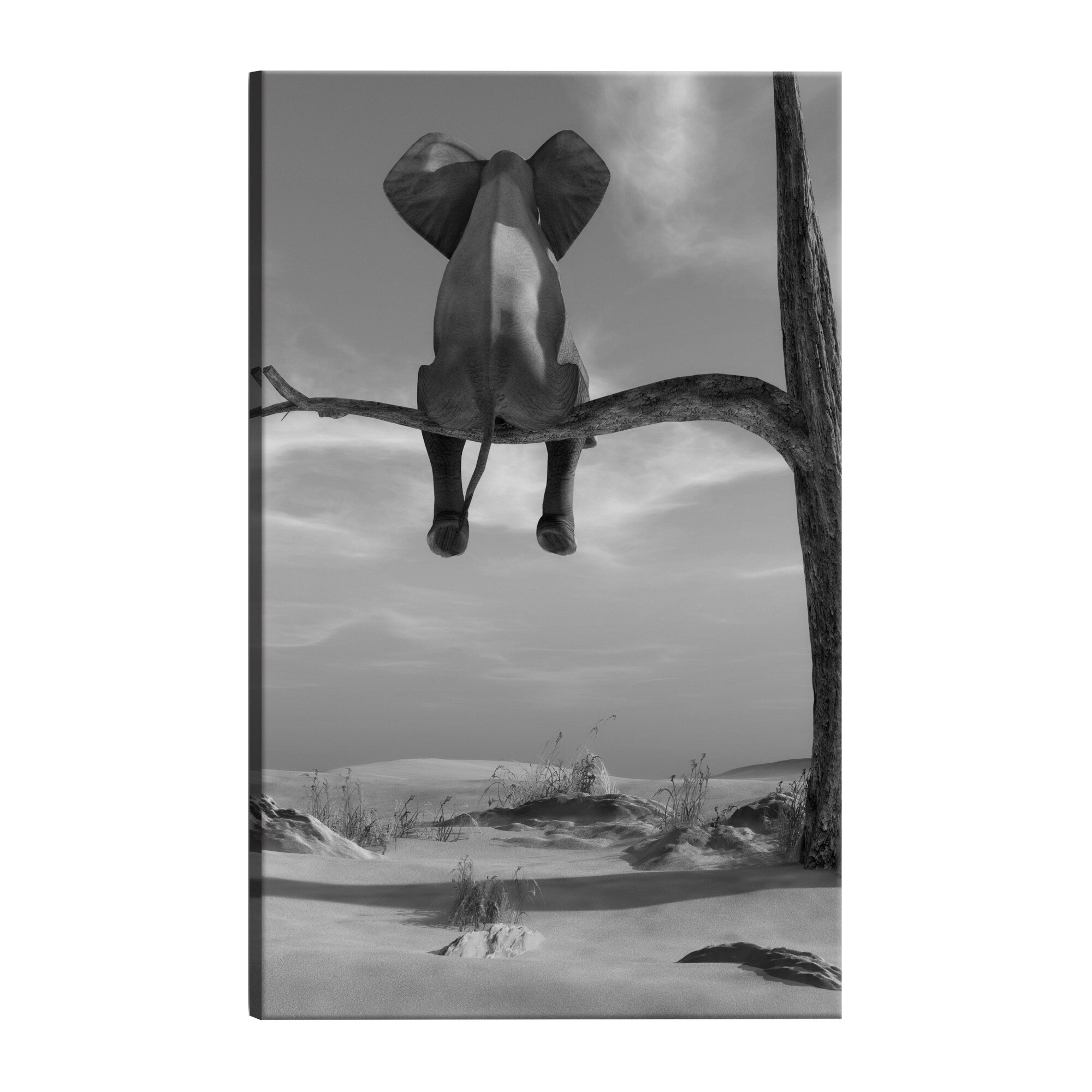 Tablou canvas - Elefantul In repaus - 40 x 60 cm