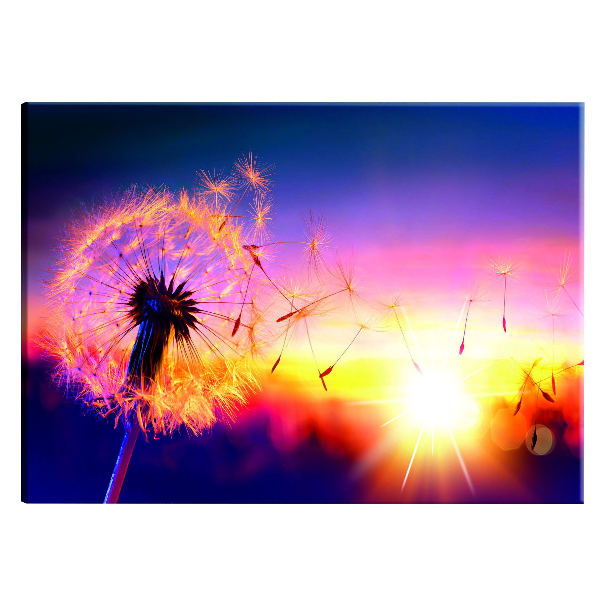 Tablou canvas - Libertatea naturii - 90 x 60 cm