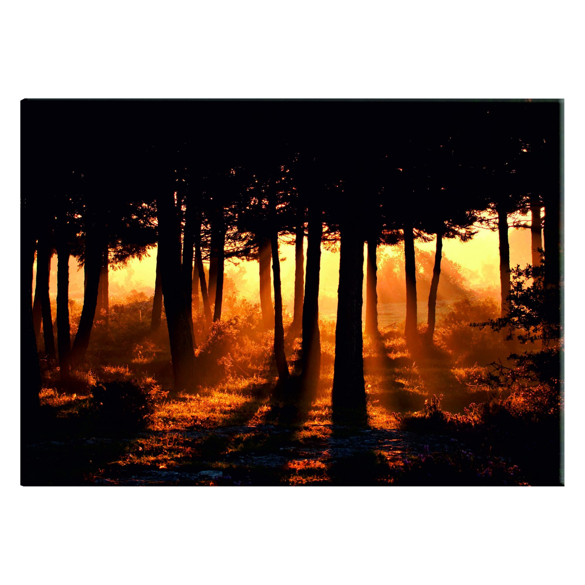 Tablou canvas - Zori de padure - 90 x 60 cm