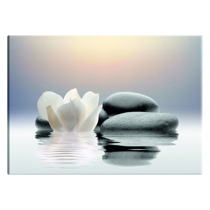 Tablou canvas - Gradina Calmului - 90 x 60 cm