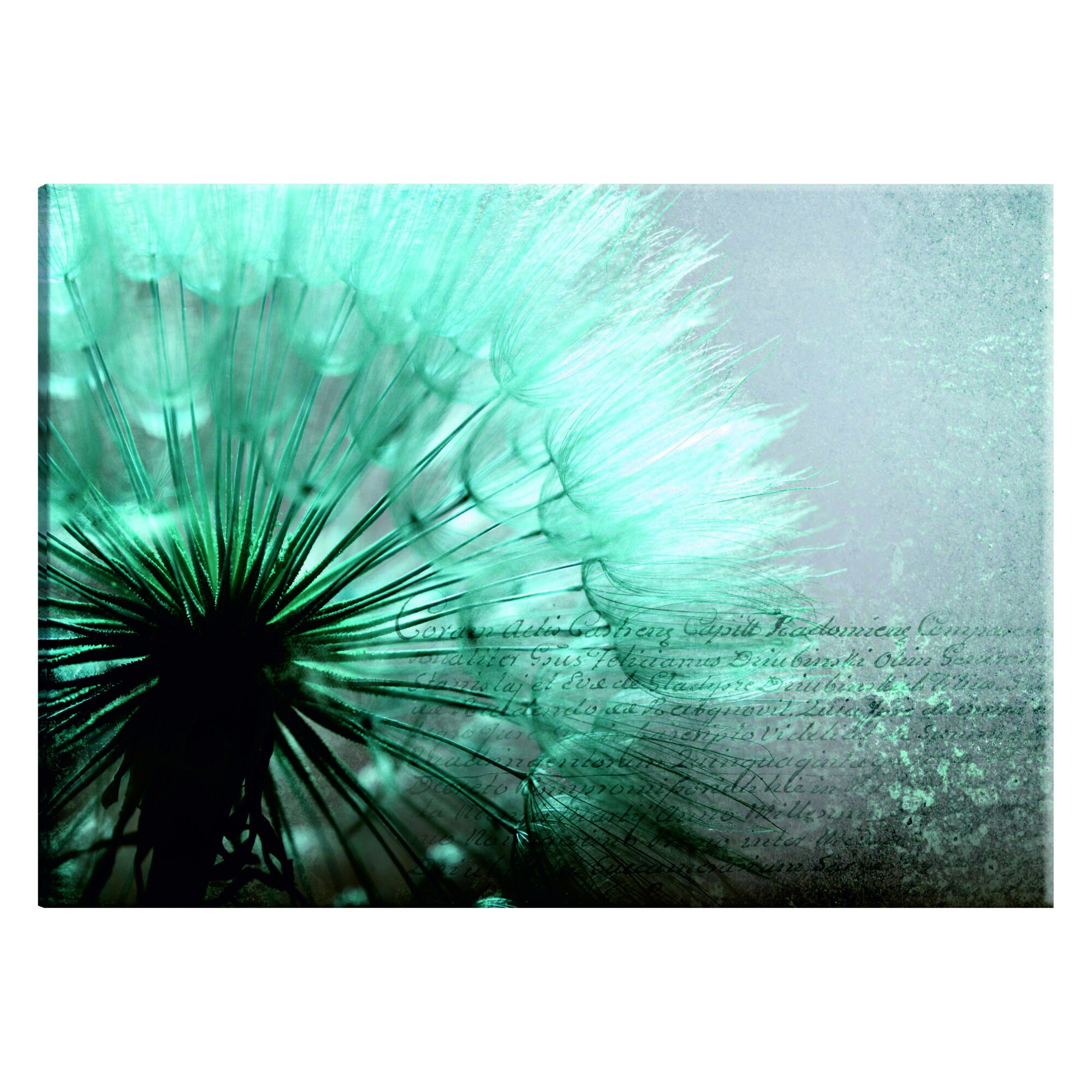 Tablou canvas - Blandete albastra - 90 x 60 cm