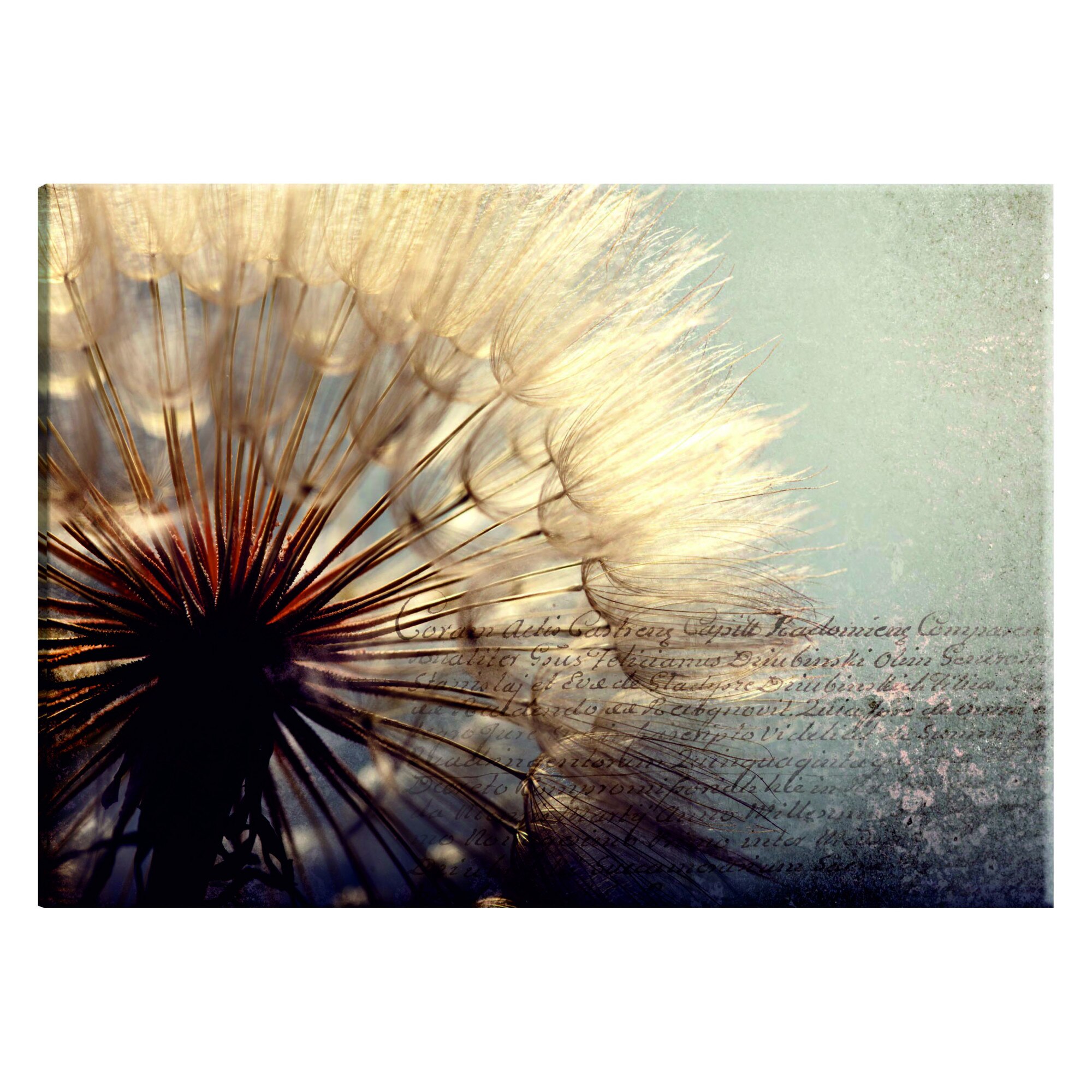 Tablou canvas - Blandetea verii - 120 x 80 cm