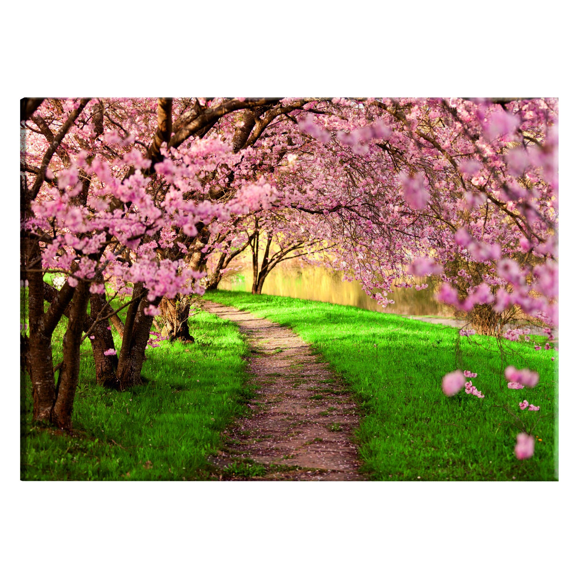 Tablou canvas - Calea iubitorilor - 60 x 40 cm