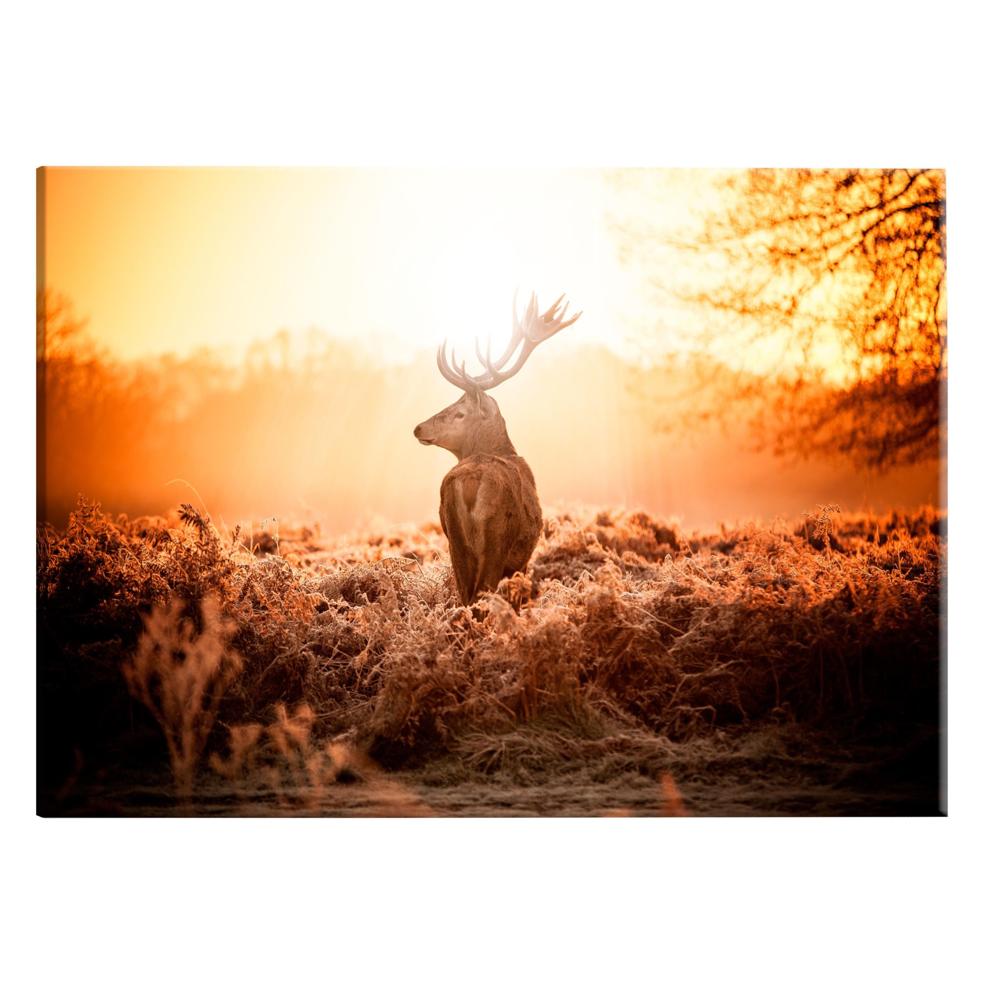 Tablou canvas - Cerb la Soare - 90 x 60 cm
