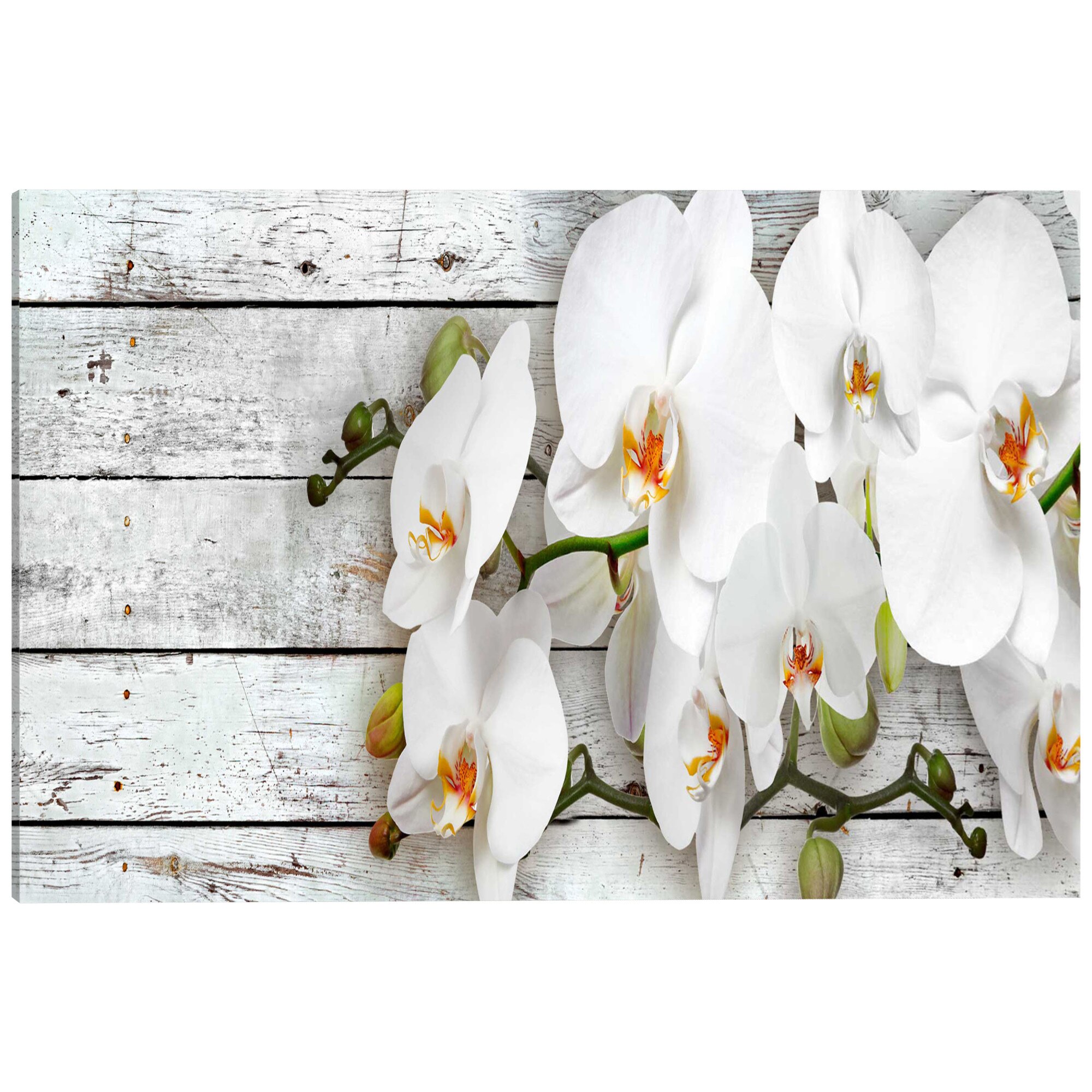 Tablou canvas - Visele albe - 135 x 45 cm