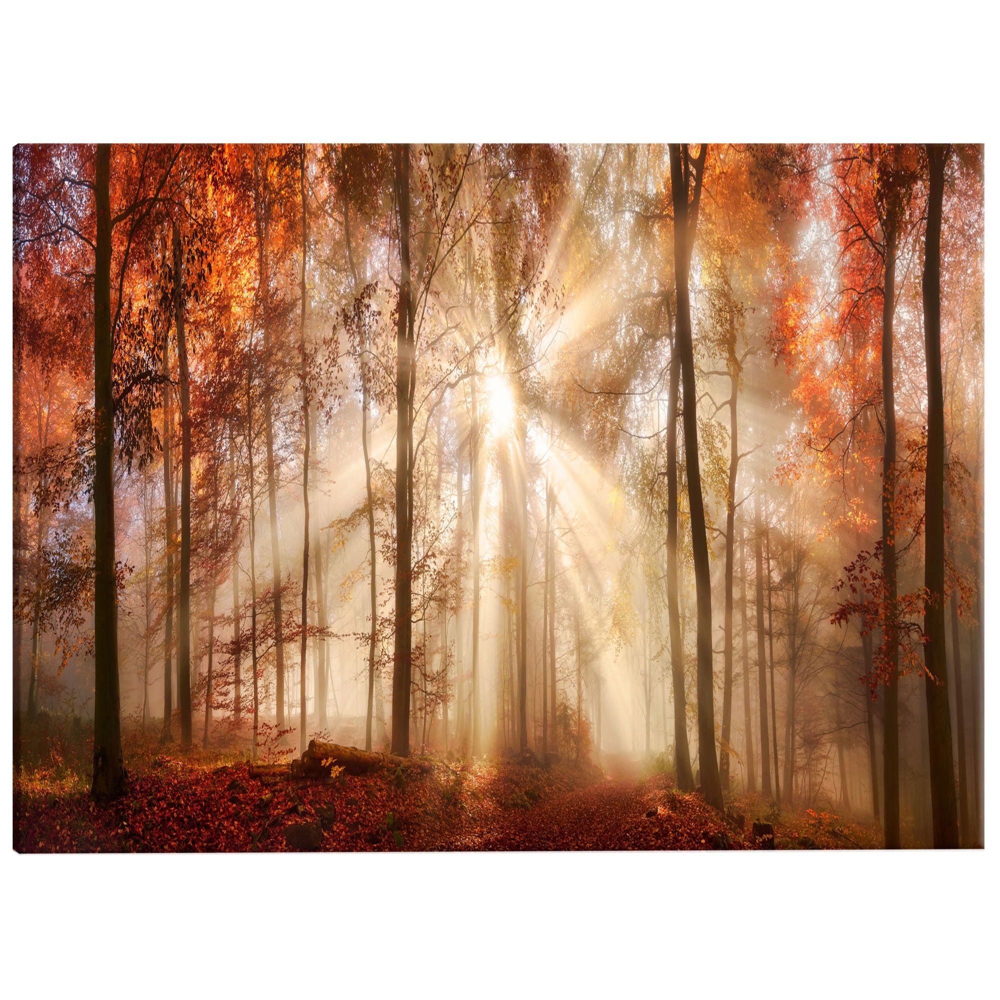 Tablou canvas - Zorii de toamna - 120 x 40 cm