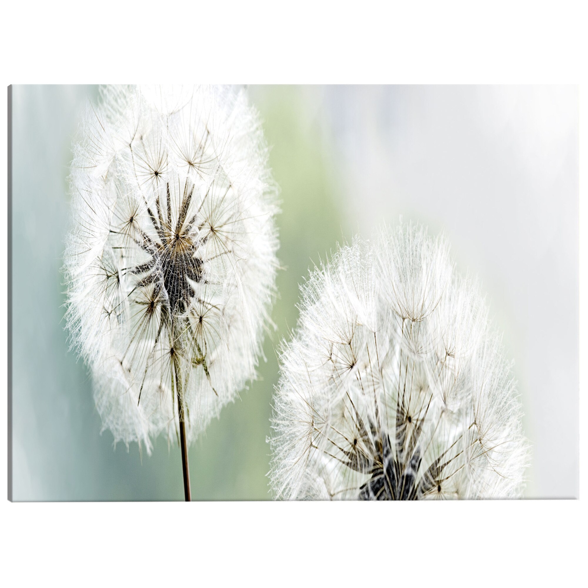 Tablou canvas - Vara romantica - 120 x 40 cm