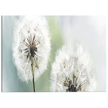 Tablou canvas - Vara romantica - 120 x 40 cm Tablou canvas - Vara romantica - 120 x 40 cm