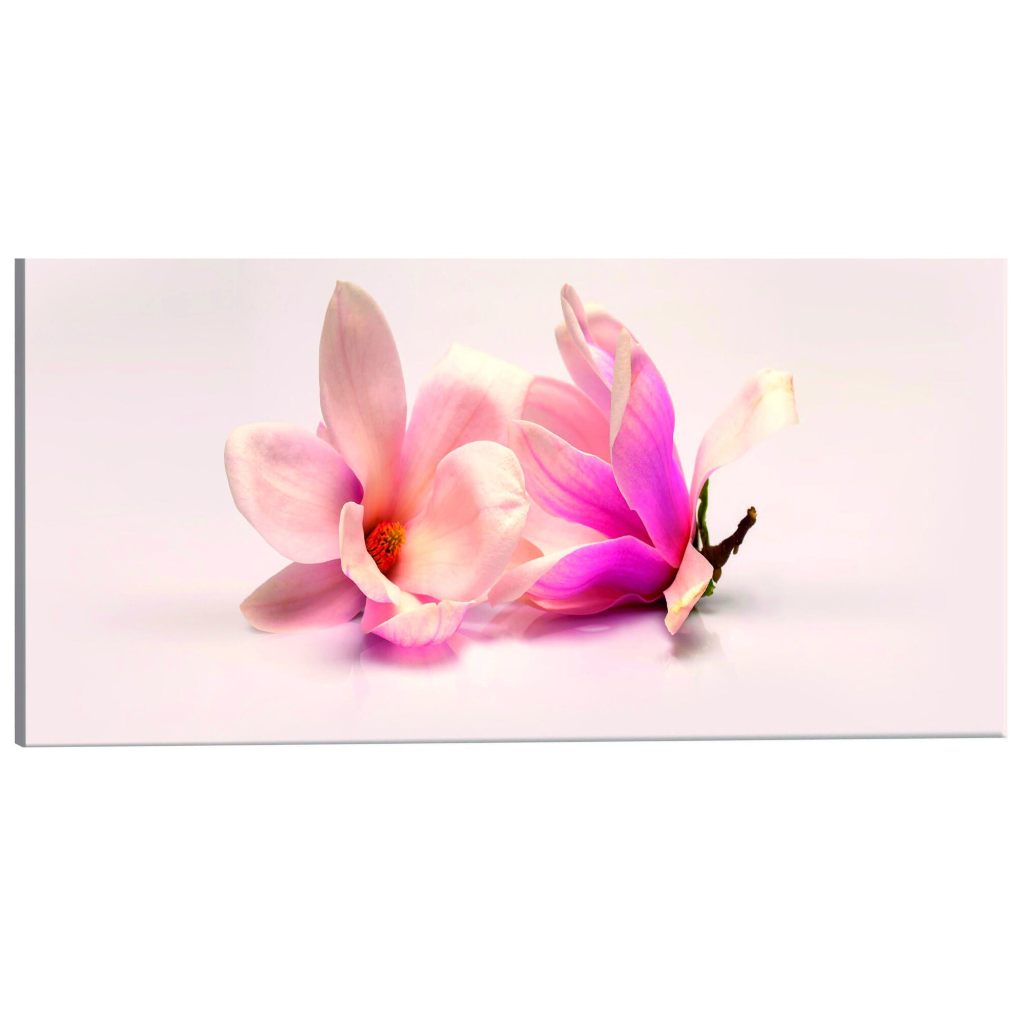 Tablou canvas - Magnolii frumoase - 135 x 45 cm