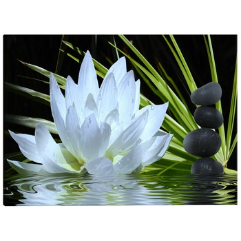 Tablou canvas - Zen Garden Ingust - 150 x 50 cm Tablou canvas - Zen Garden Ingust - 150 x 50 cm