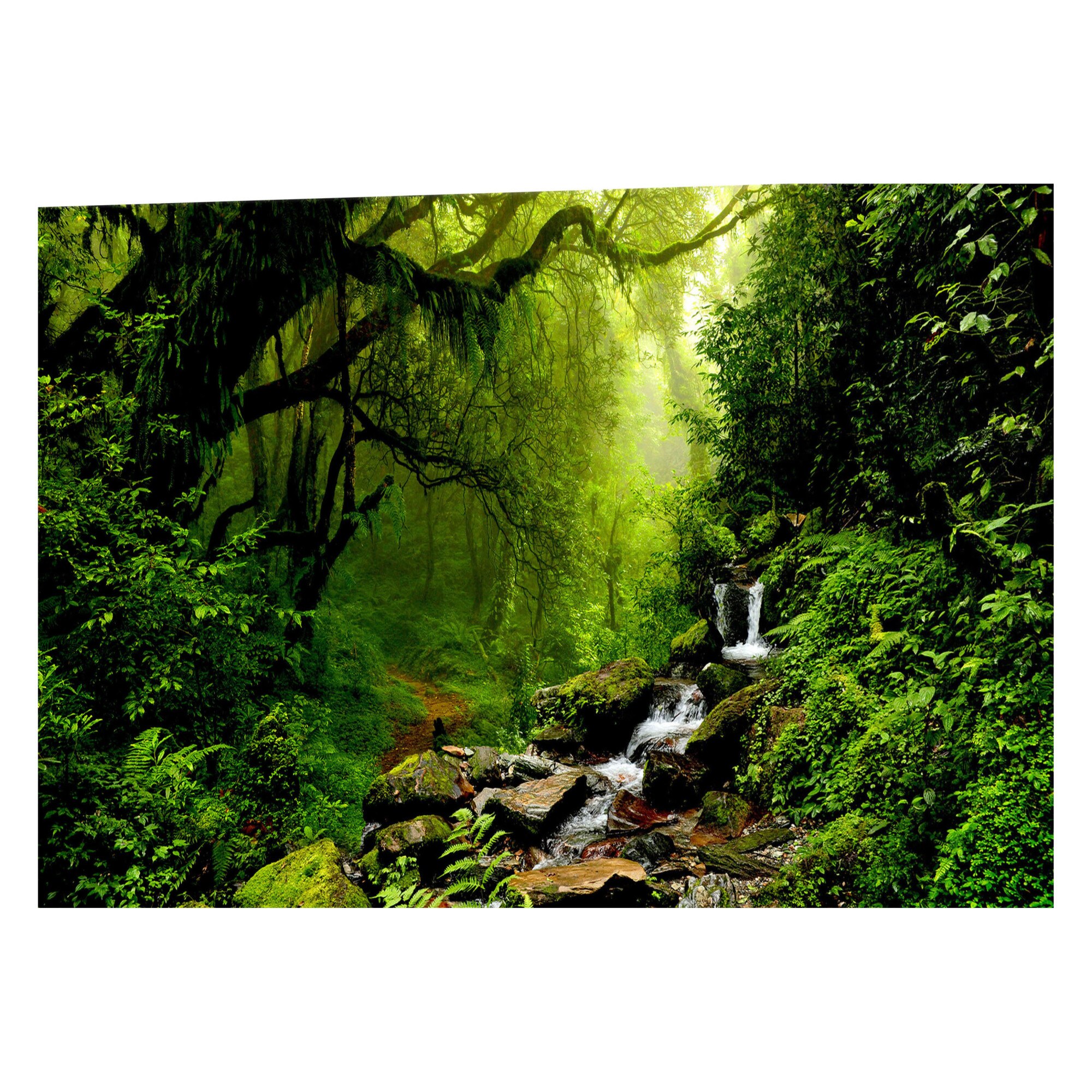 Tablou canvas - Padurea basmelor - 120 x 40 cm