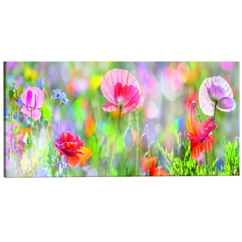 Tablou canvas - Rainbow of Morning Poppies - 120 x 40 cm Tablou canvas - Rainbow of Morning Poppies - 120 x 40 cm