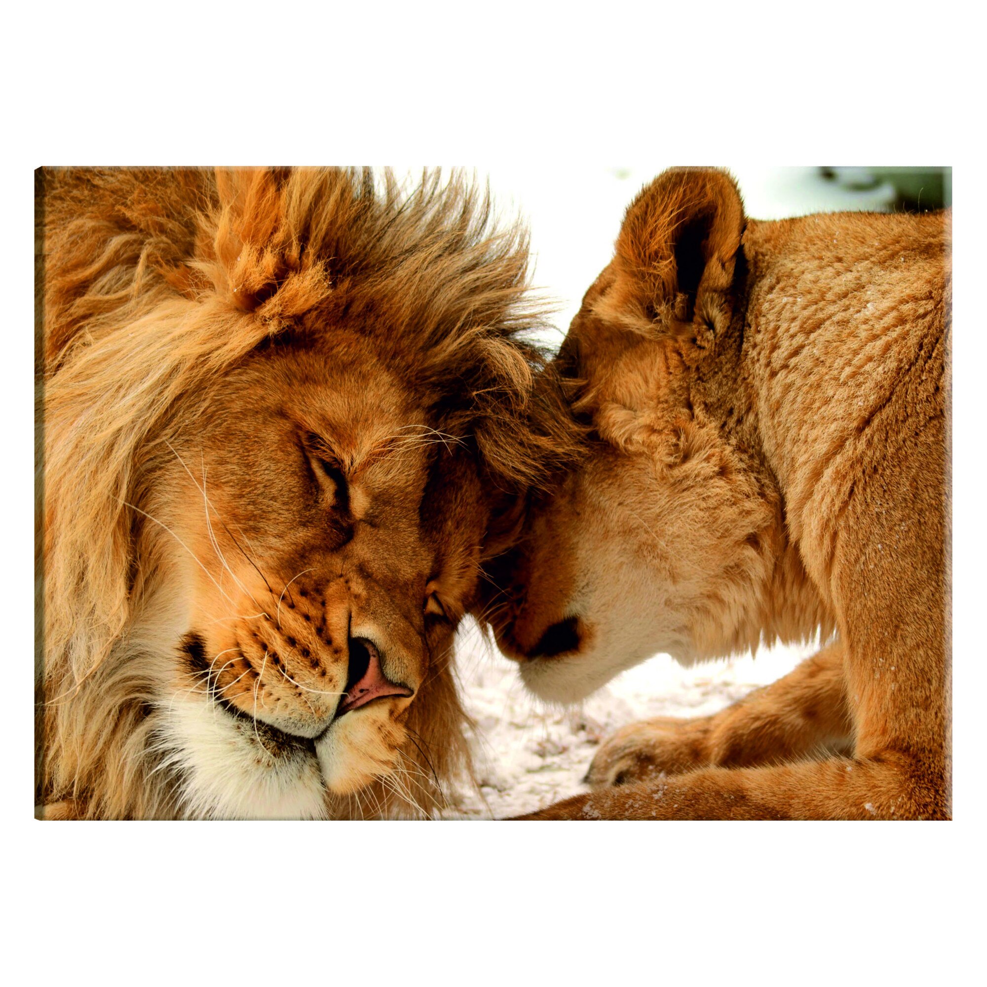 Tablou canvas - Secretul dragostei - 60 x 40 cm