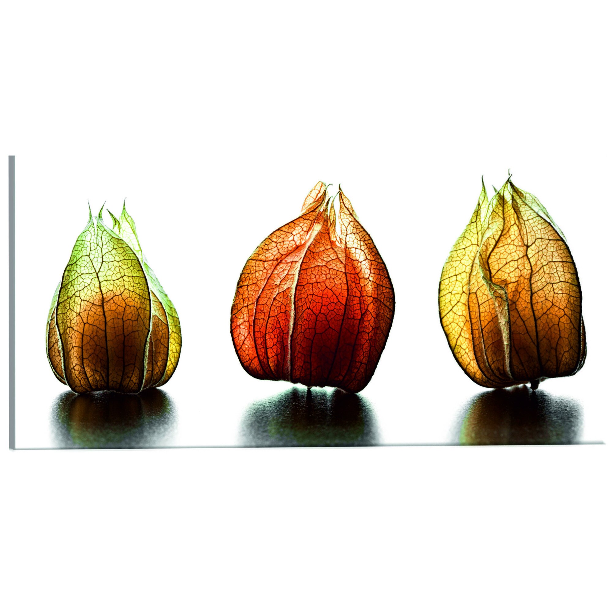 Tablou canvas - CireS de iarna - 135 x 45 cm