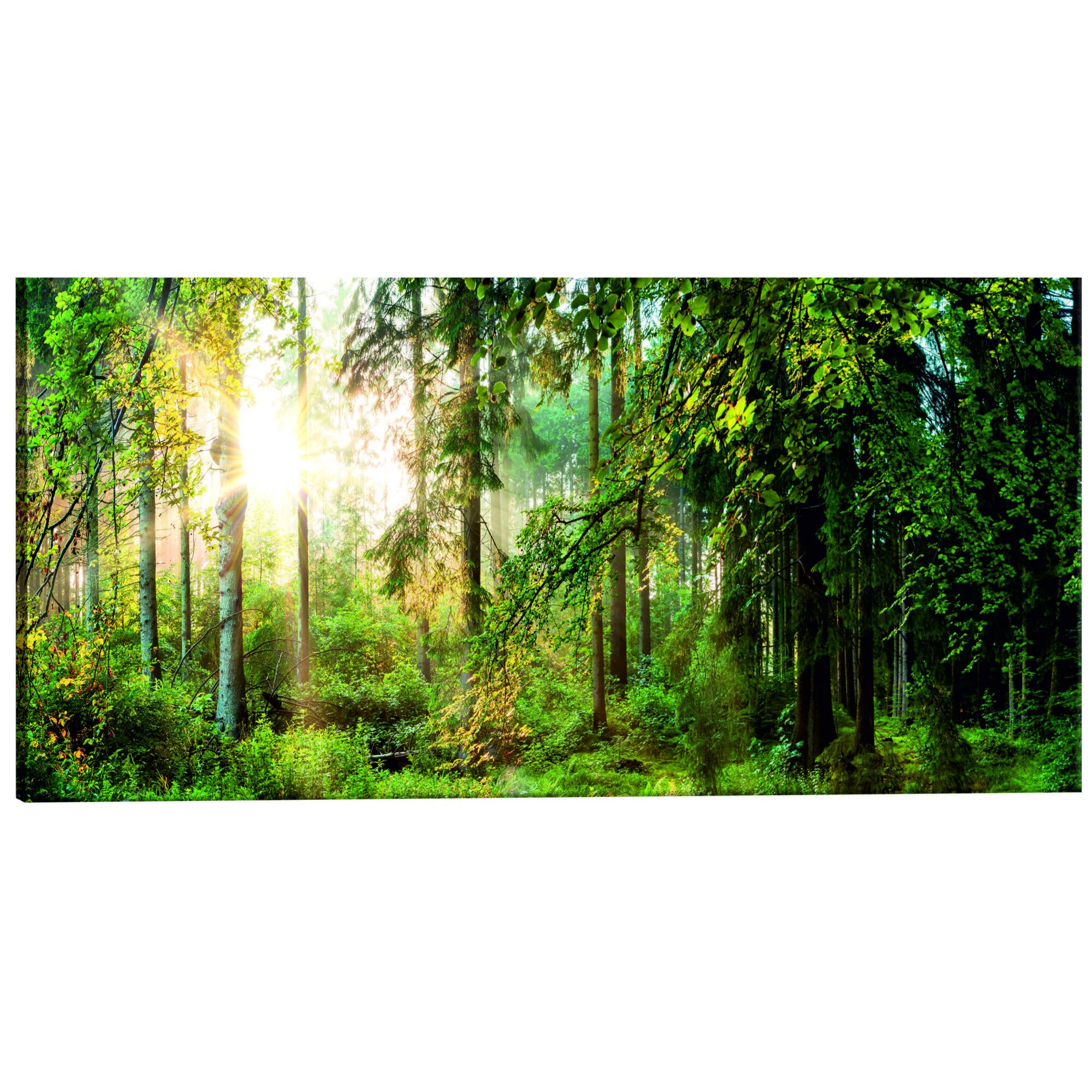 Tablou canvas - Adapost de padure - 120 x 40 cm