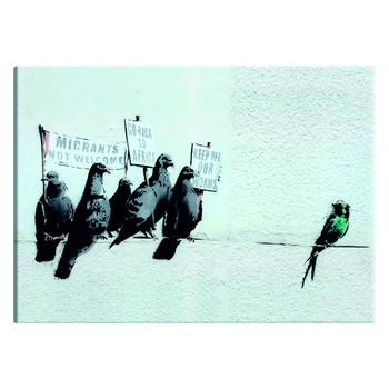 Tablou canvas - Protestarea pasarilor de catre Banksy - 60 x 40 cm