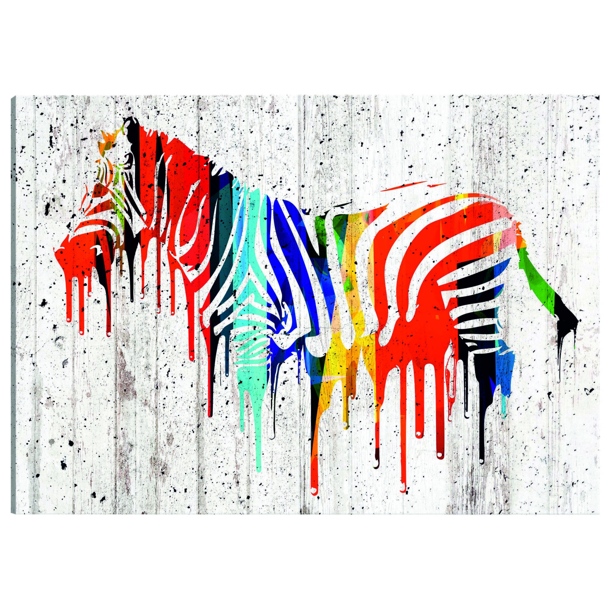 Tablou canvas - Zebra colorata - 90 x 60 cm
