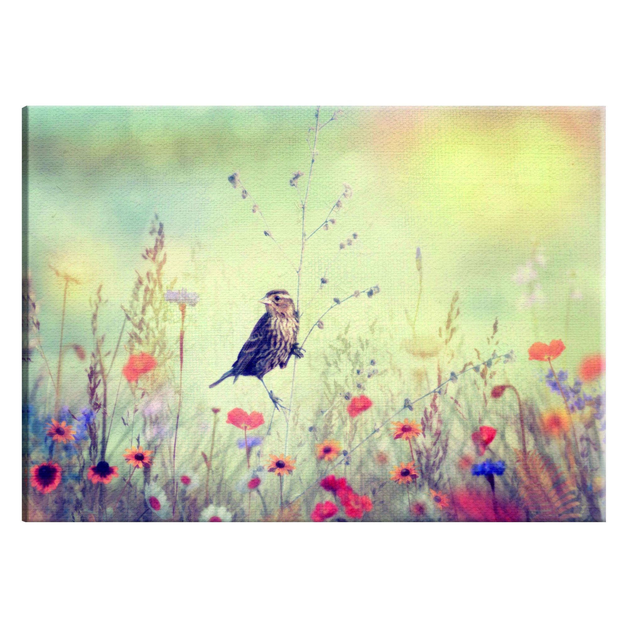 Tablou canvas - Sonata de primavara - 60 x 40 cm